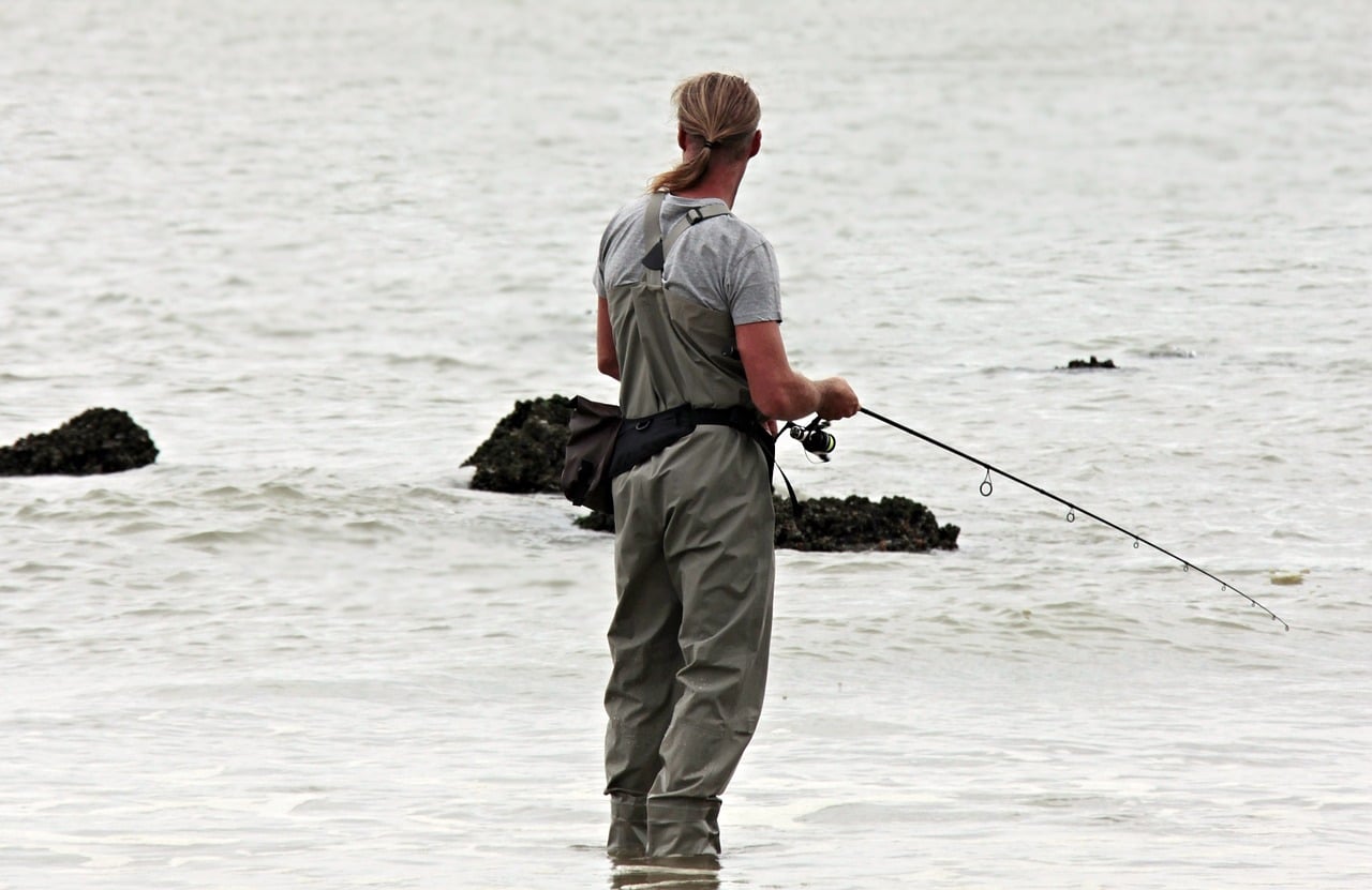 Est-ce qu'une canne à pêche carnassier est nécessaire pour la pêche ?